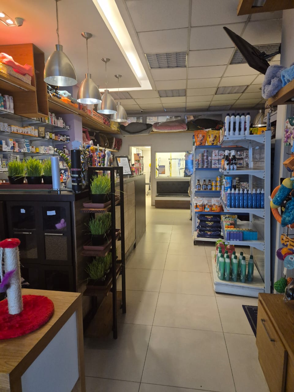 Corredor interno da Pet Zoyde com prateleiras de produtos, plantas decorativas e vista para o salão de banho e tosa