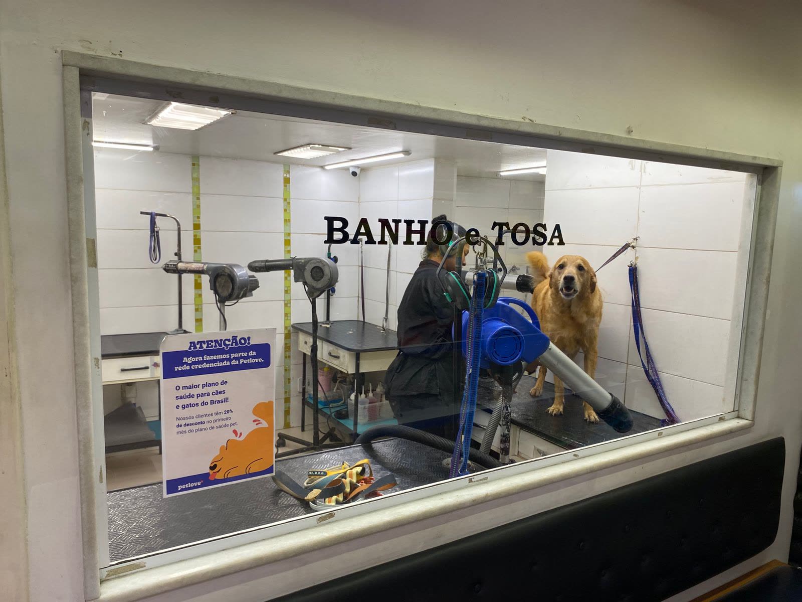 Sala de banho e tosa com golden retriever sendo cuidado