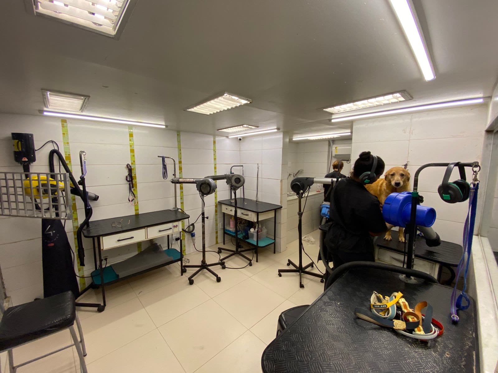 Visão geral do salão de banho e tosa com equipamentos profissionais